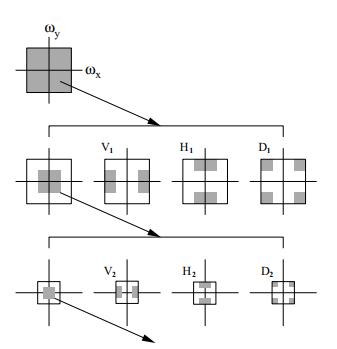 wavelet